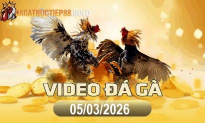 img video da ga cpc4 1772792190