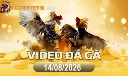 img video da ga cpc4 1786752006