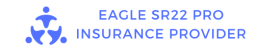 Eagle SR22 Pro Insurance Provider1